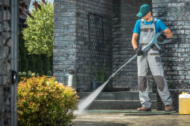 Best Animal Enclosure Cleaning  in Key Vista, FL